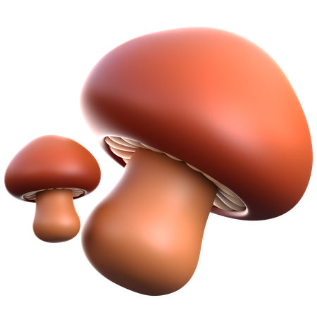 Mashroom  3D Icon