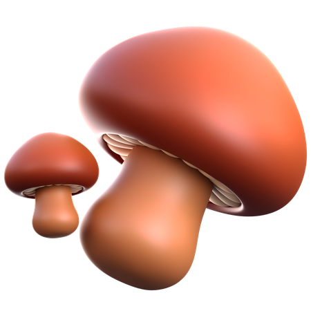 Mashroom  3D Icon