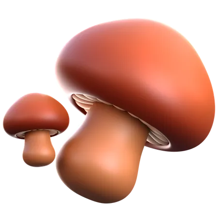 Mashroom  3D Icon