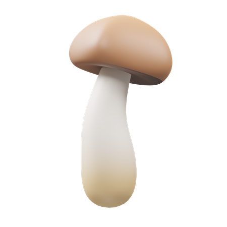 Matsutake  3D Icon