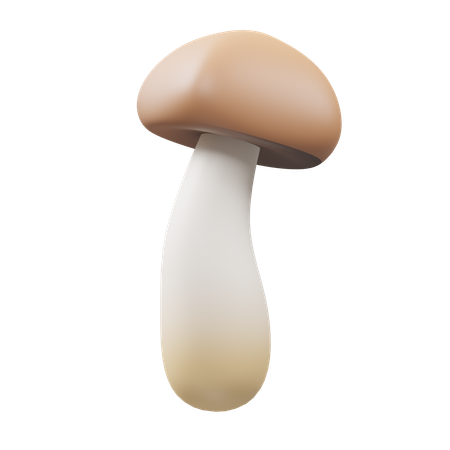 Matsutake  3D Icon