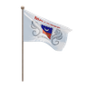 3d mayotte flag illustration