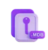 Mdb File