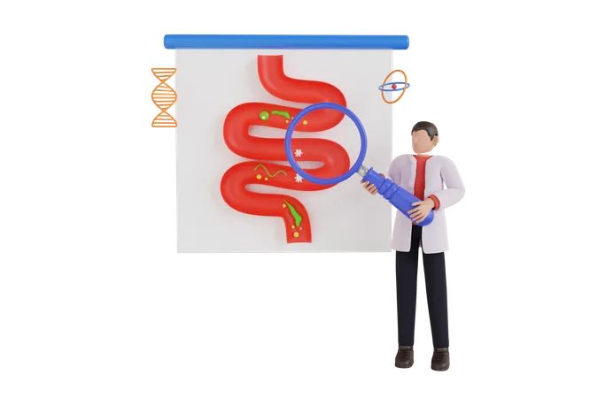 Medical stomach inspection by gastroenterologist doctor  3D Illustration