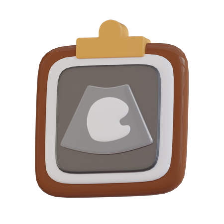 Medical Ultrasound Report  3D Icon