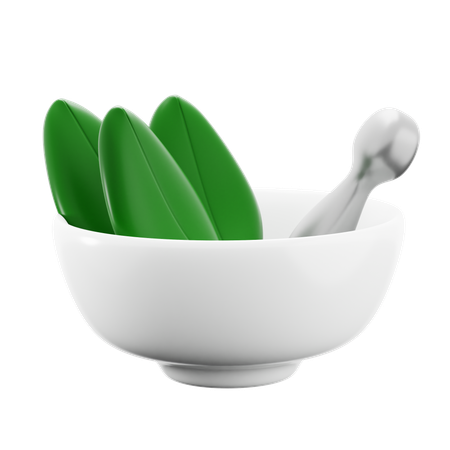 Medicina ayurvédica  3D Icon