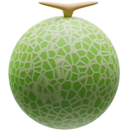 Melon  3D Icon