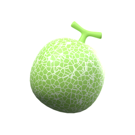 Melon  3D Icon