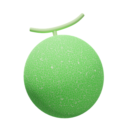 Melon  3D Illustration