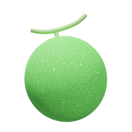 Melon  3D Illustration