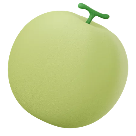 Melon  3D Illustration