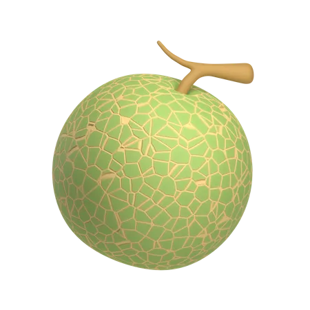 Melon  3D Icon