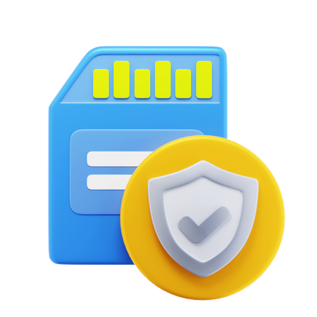 Memory Card Security  3D Icon