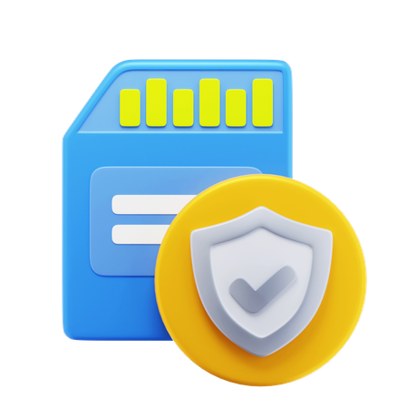 Memory Card Security  3D Icon