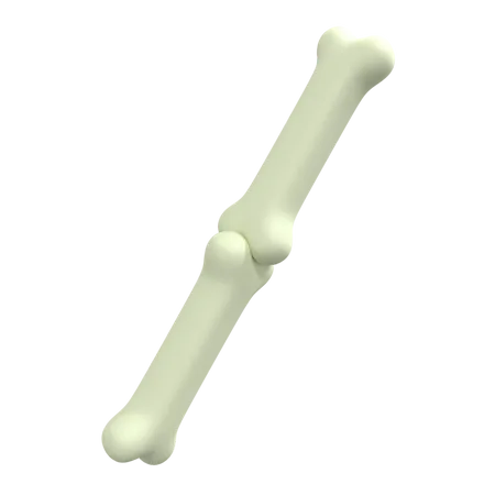Menschlicher Knochen  3D Illustration