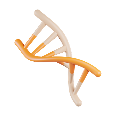 Menschliche DNA  3D Icon