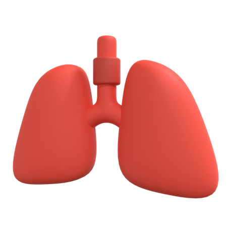 Menschliche Lunge  3D Illustration