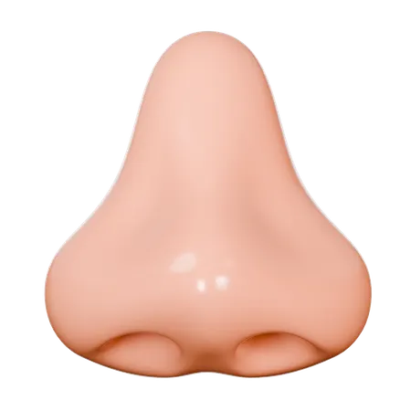 Menschliche Nase  3D Icon