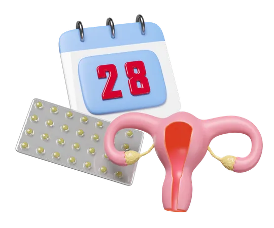 Menstrual Cycle  3D Icon