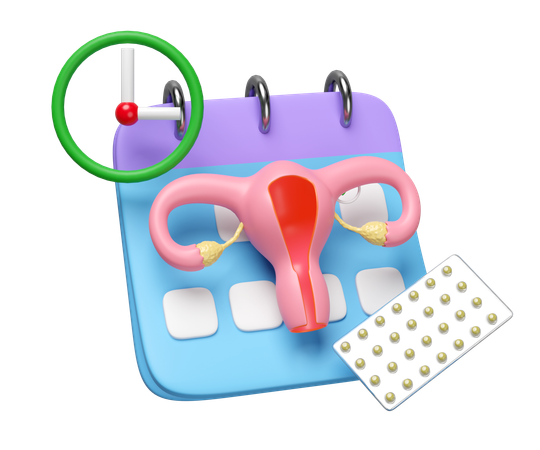 Menstrual Cycle  3D Icon