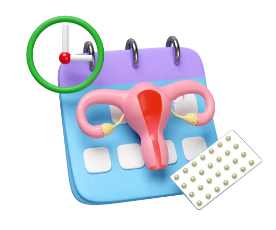 Menstrual Cycle  3D Icon