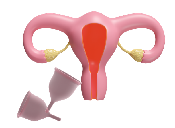 Menstruation Cup  3D Icon