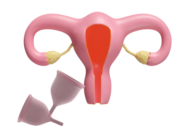 Menstruation Cup  3D Icon