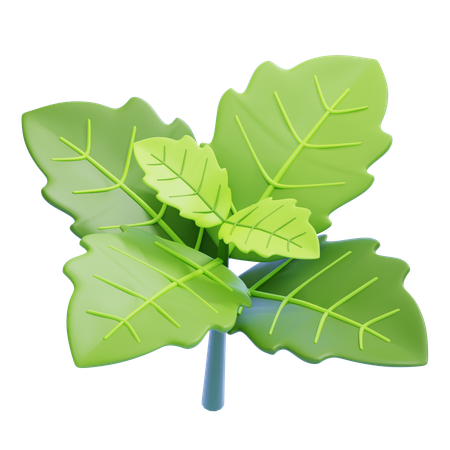 Menthe poivrée  3D Icon