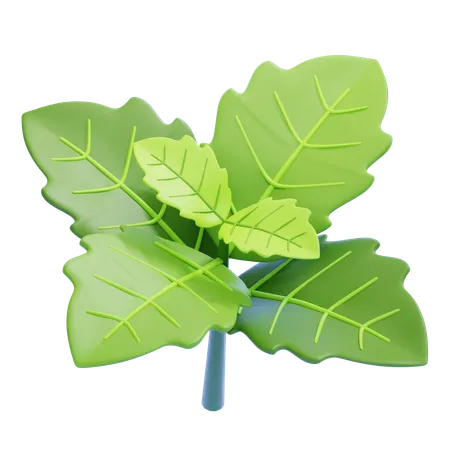 Menthe poivrée  3D Icon