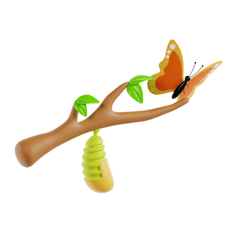 Métamorphose  3D Icon