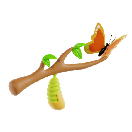 Metamorphosis  3D Icon