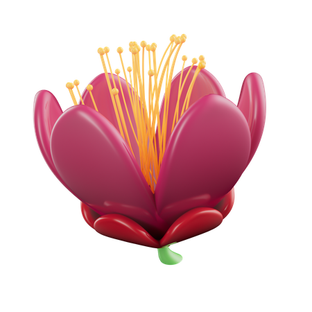 Mexican flowers  3D Icon