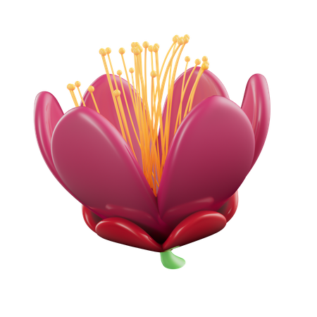 Mexican flowers  3D Icon