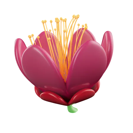 Mexican flowers  3D Icon