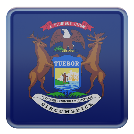 Quadratische Michigan-Flagge  3D Icon