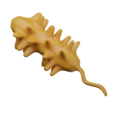 Micro Organism  3D Icon