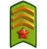 Military Rank Insignia