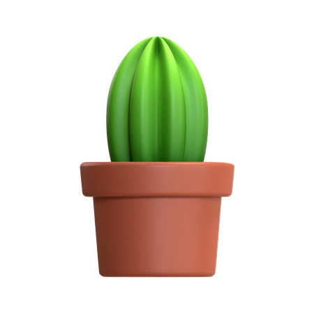 Planta de mini cacto  3D Icon