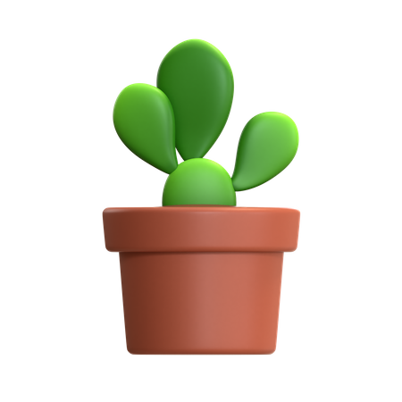 Planta de mini cacto  3D Icon