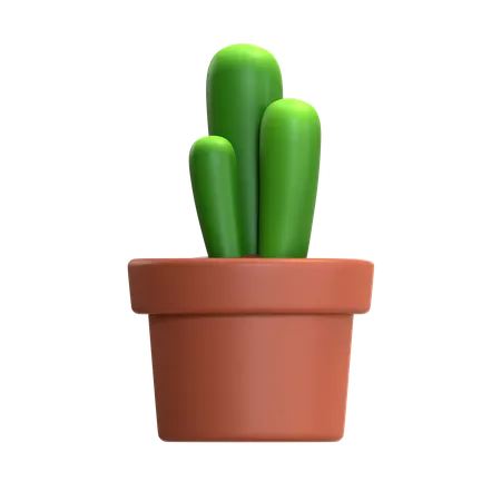 Mini Cactus Plant  3D Icon