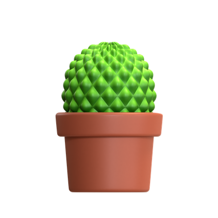 Mini Cactus Plant  3D Icon