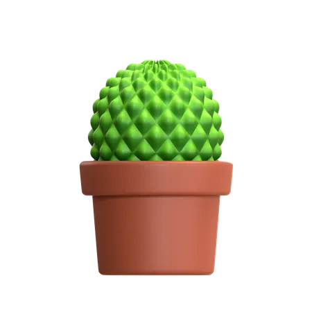 Mini Cactus Plant  3D Icon