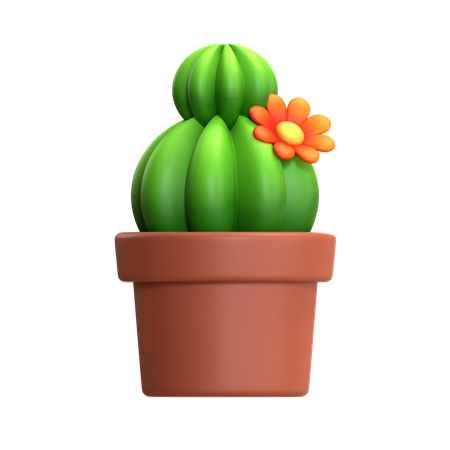 Mini Cactus Plant  3D Icon