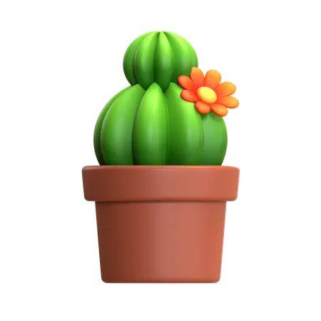 Mini Cactus Plant  3D Icon