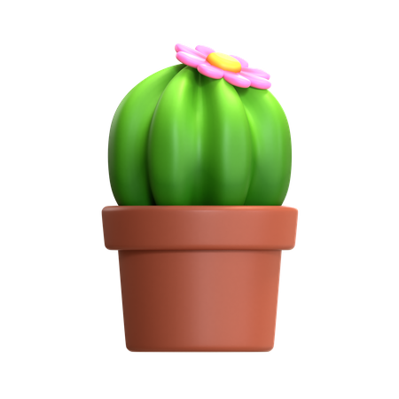 Mini Cactus Plant  3D Icon