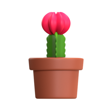 Mini Cactus Plant  3D Icon