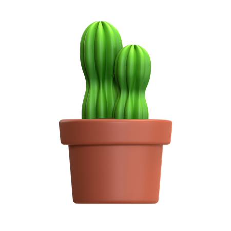 Mini Cactus Plant  3D Icon