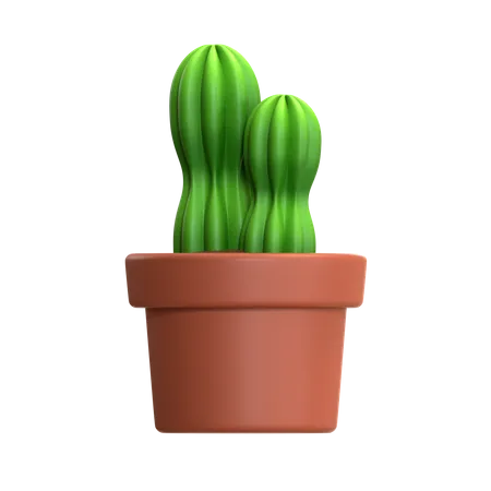 Mini Cactus Plant  3D Icon