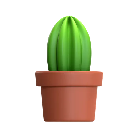 Mini Cactus Plant  3D Icon