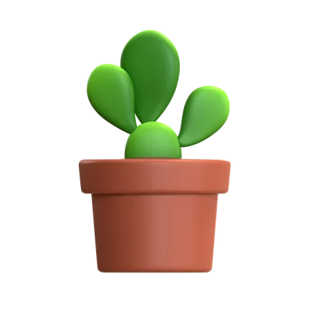 Mini Cactus Plant  3D Icon